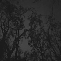 Atel : Cold Misanthropic Wilderness